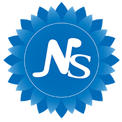 logo icon newsky