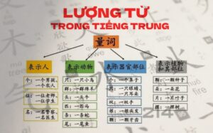 Lượng từ tiếng trung