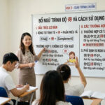 Bổ ngữ trình độ